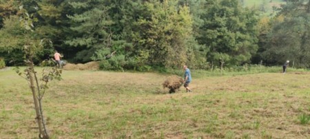 Delovna akcija Soncki 08sept2025 03